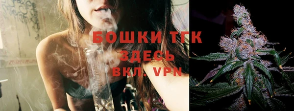 гашик Белоозёрский