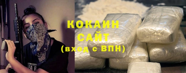 шишки Беломорск