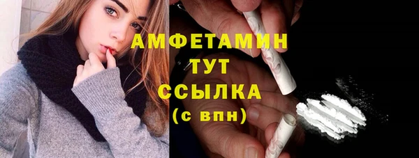гидра Балахна