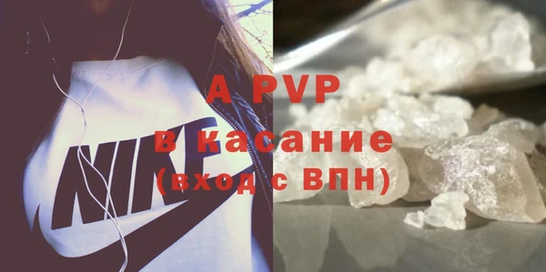 шишки Беломорск