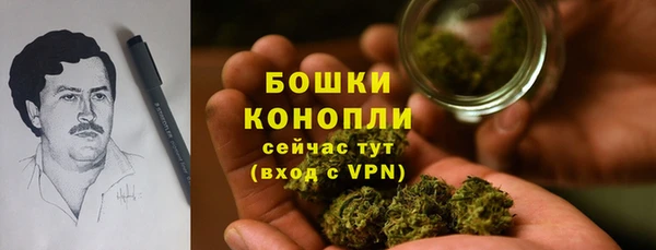 гидропоника Белокуриха