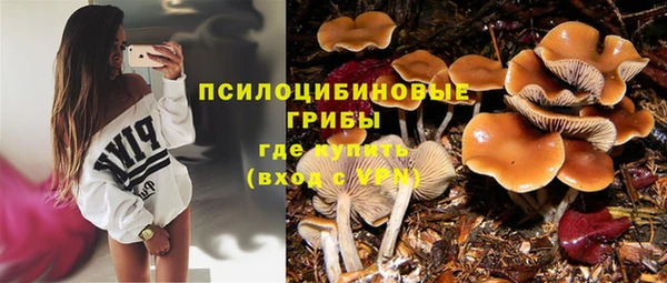 гидропоника Белокуриха