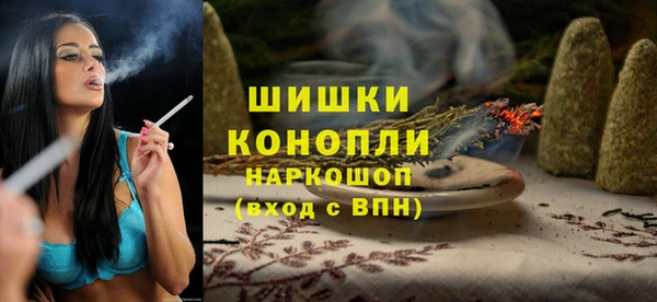 шишки Беломорск